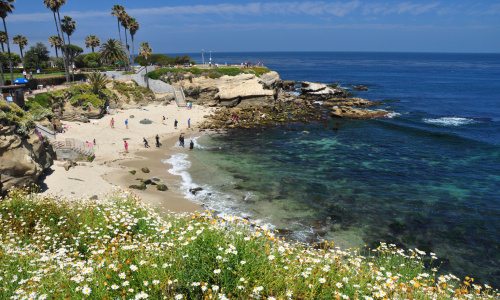 La Jolla Cove Beach at San Diego