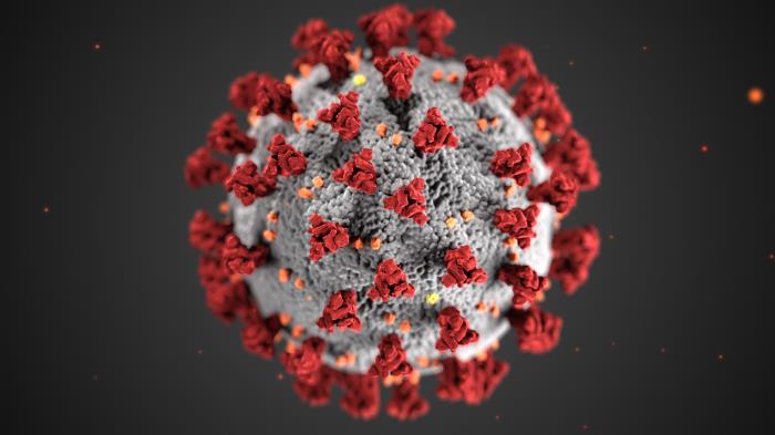 Coronavirus Disease 2019 Microsite