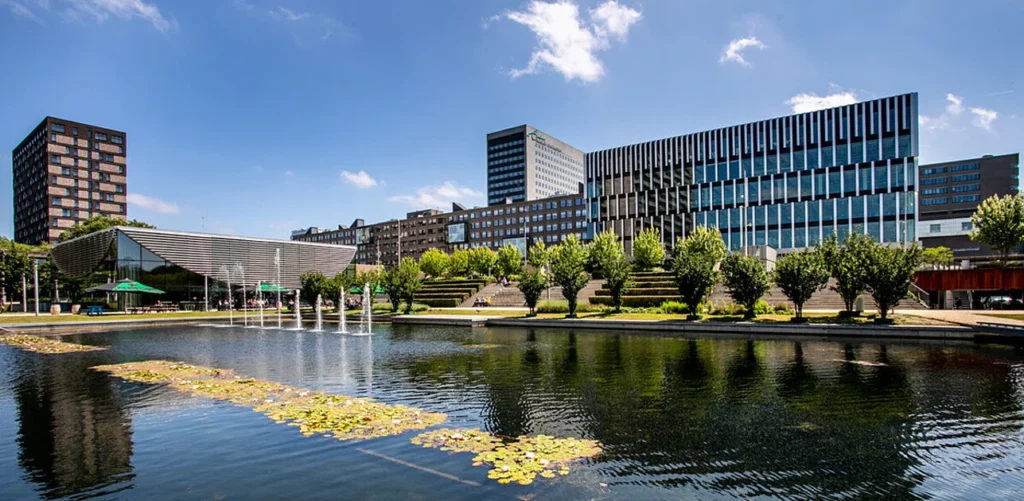 Rotterdam School of Management (RSM)
