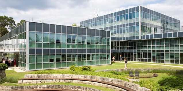 Nên thi GMAT hay GRE khi nộp MBA? Cách chọn bài thi phù hợp